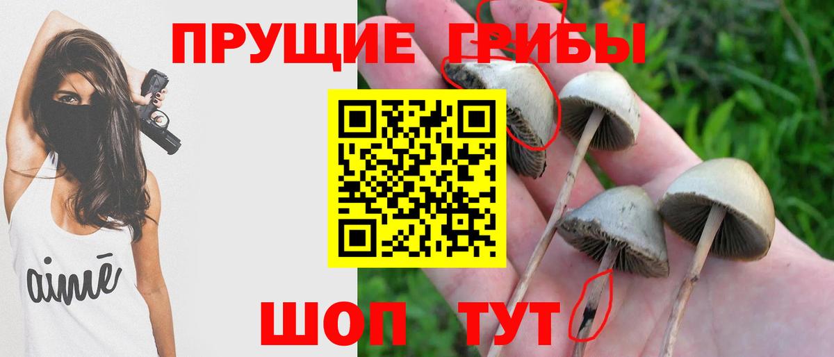 Тимашёвск  Псилоцибиновые грибы MAGIC MUSHROOMS  Галлюциногенные грибы ЛСД  Вход с VPN 